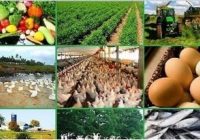 Best Agricultural Business Ideas To Making Money In 2022