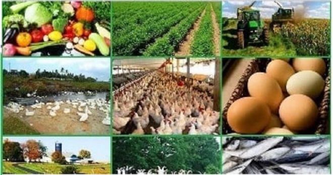 Best Agricultural Business Ideas To Making Money In 2022